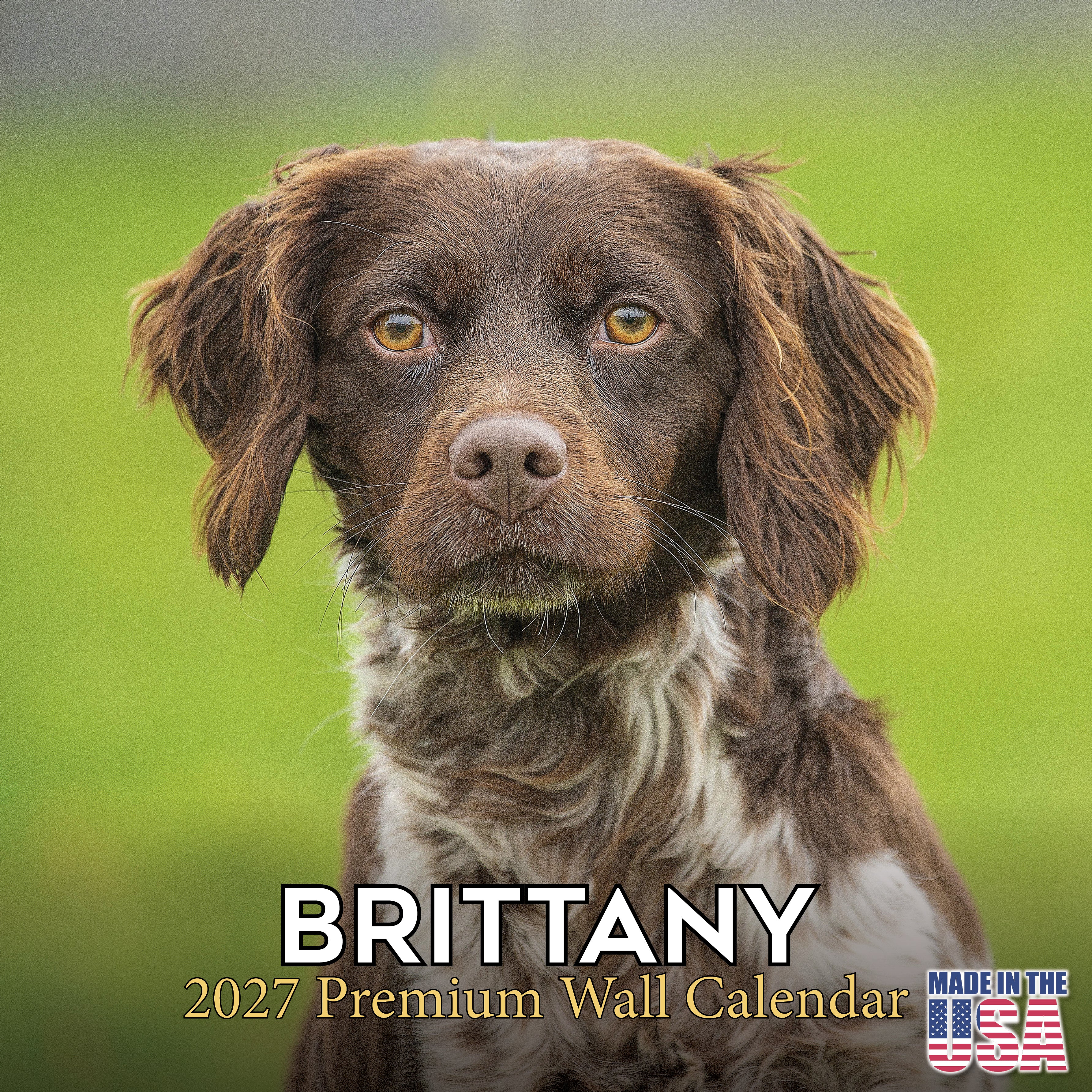Brittany Wall Calendar 2027 - 12