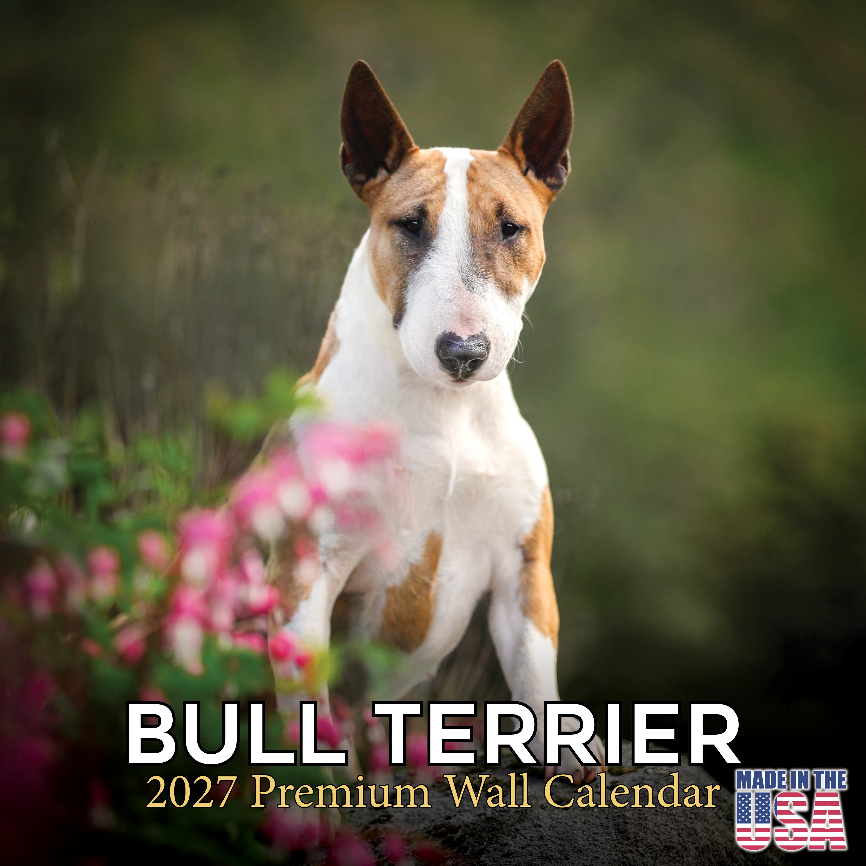 Bull Terrier Wall Calendar 2027 - 12