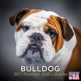 Bulldog Wall Calendar 2027 - 12" x 12" Monthly Courageous Calm English Bulldog Calendar
