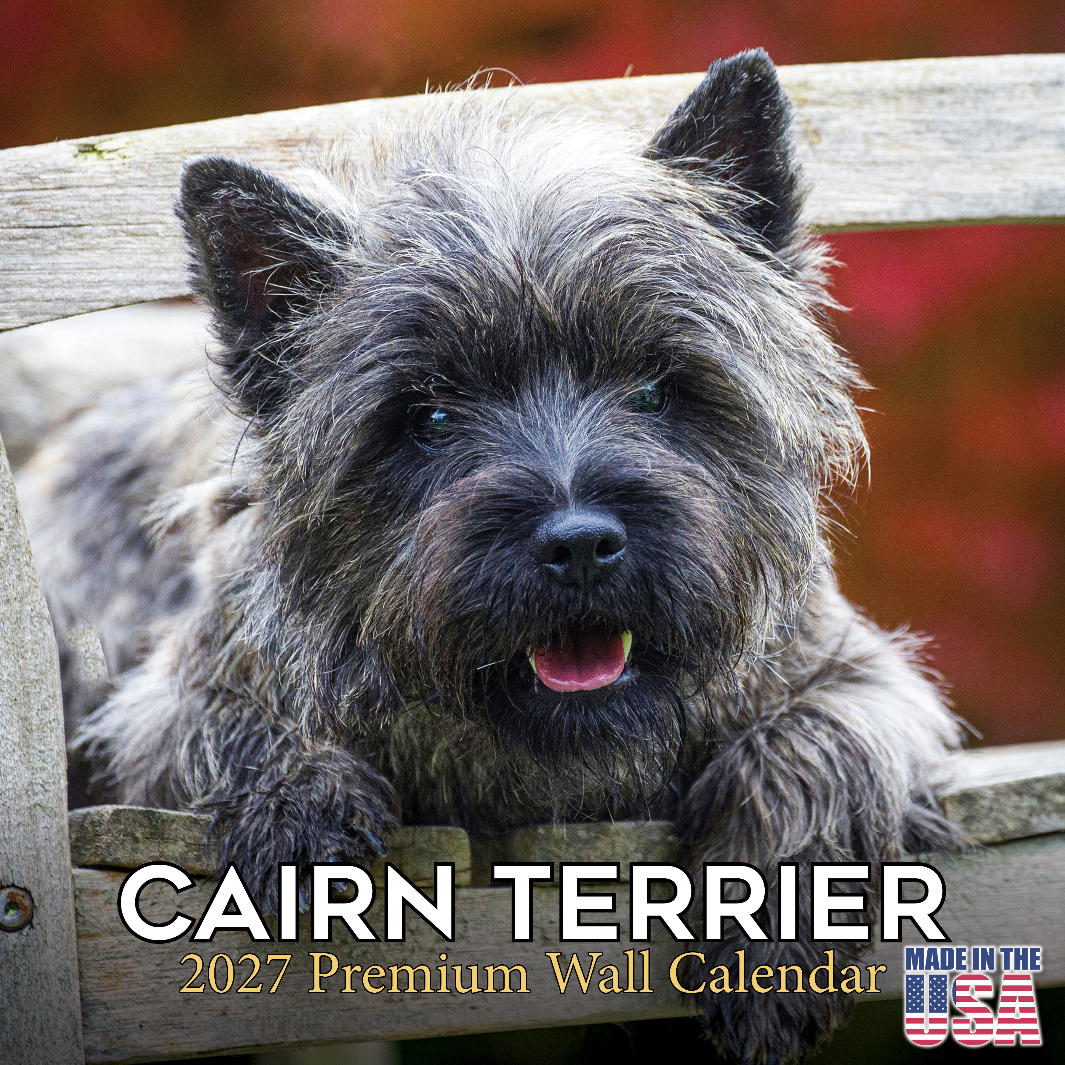 Cairn Terrier Wall Calendar 2027 - 12