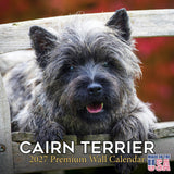 Cairn Terrier Wall Calendar 2027 - 12" x 12" Monthly Hardy Alert Scottish Terrier Breed Calendar