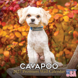 Cavapoo Wall Calendar 2027 - 12" x 12" Monthly Loving Intelligent Designer Cavoodle Calendar