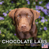 Chocolate Labrador Retriever Wall Calendar 2027 - 12" x 12" Monthly Loyal Chocolate Lab Sporting Breed Calendar