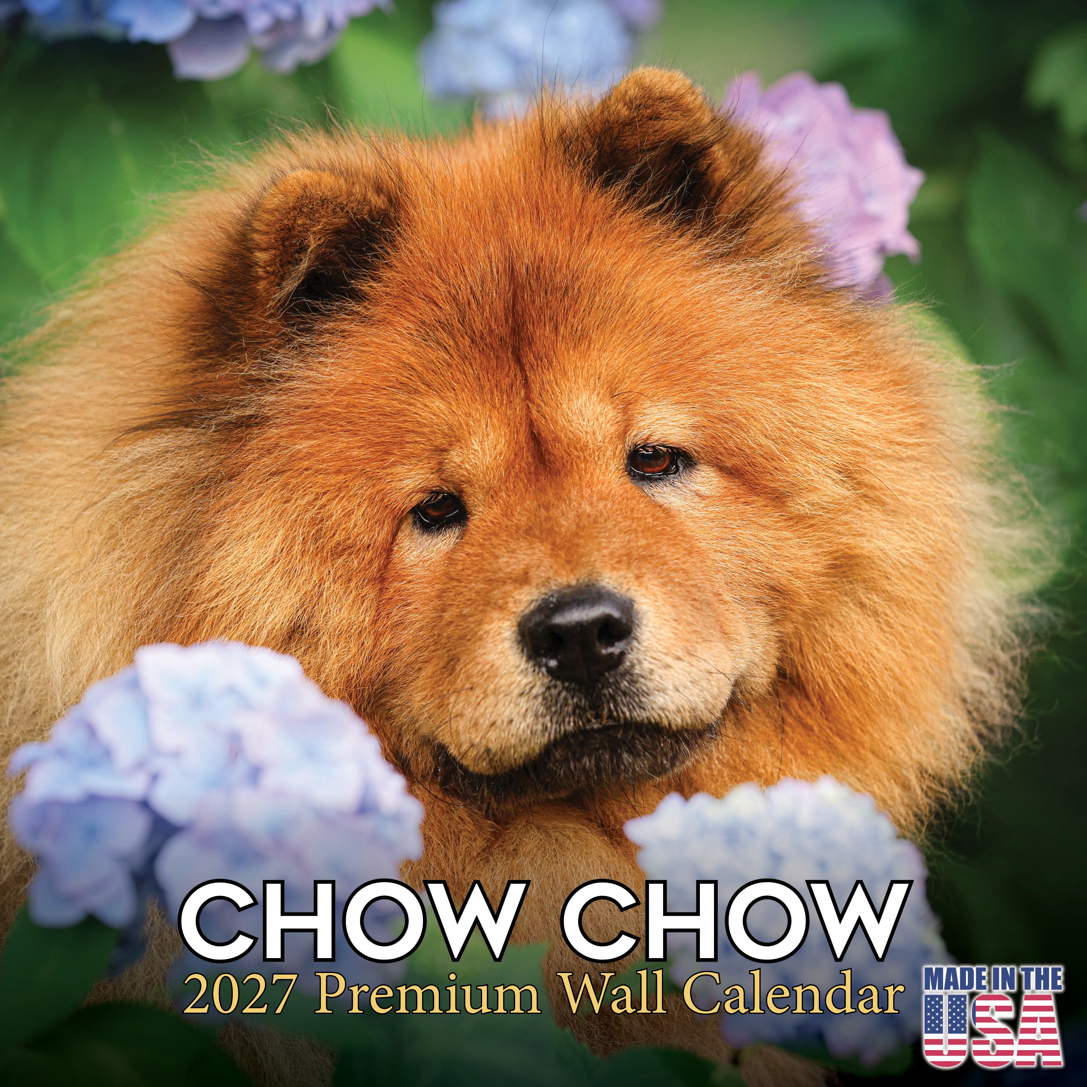 Chow Chow Wall Calendar 2027 - 12