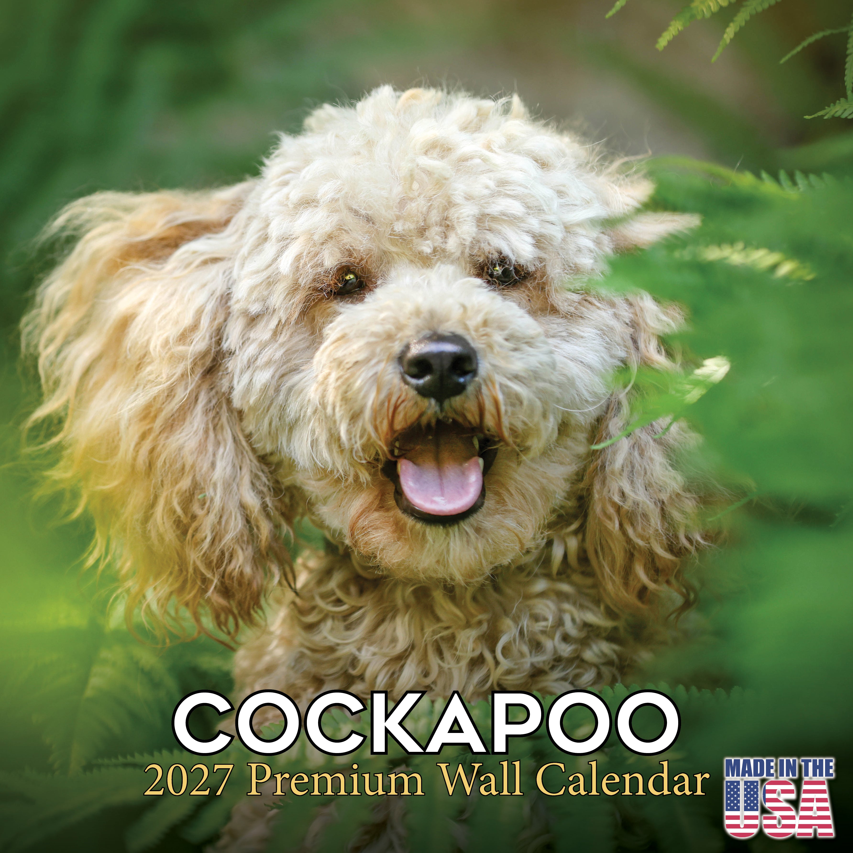 Cockapoo Wall Calendar 2027 - 12