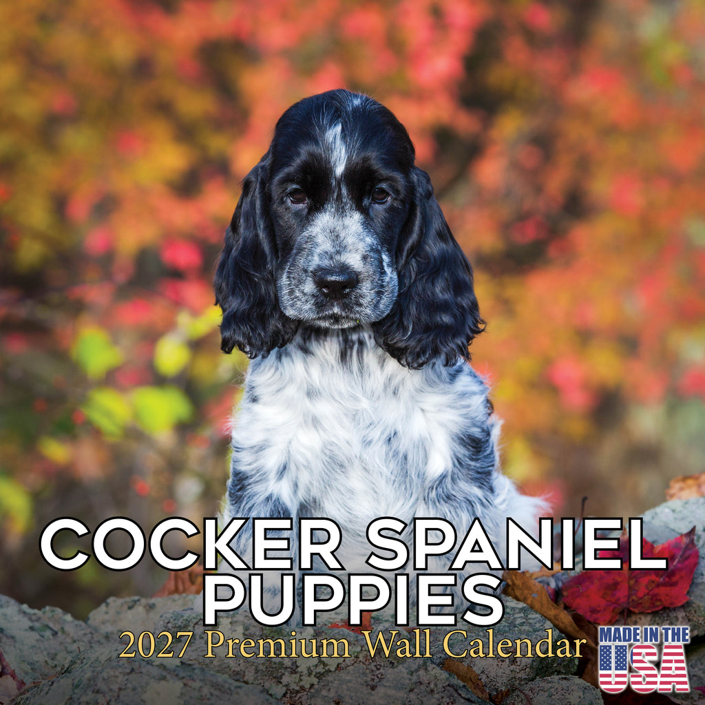 Cocker Spaniel Puppies Wall Calendar 2027 - 12" x 12" Monthly Heartwarming Cocker Spaniel Puppy Breed Art Calendar