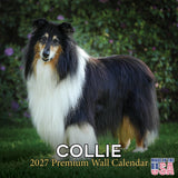 Collie Wall Calendar 2027 - 12" x 12" Monthly Noble & Majestic Rough Collie Herding Calendar