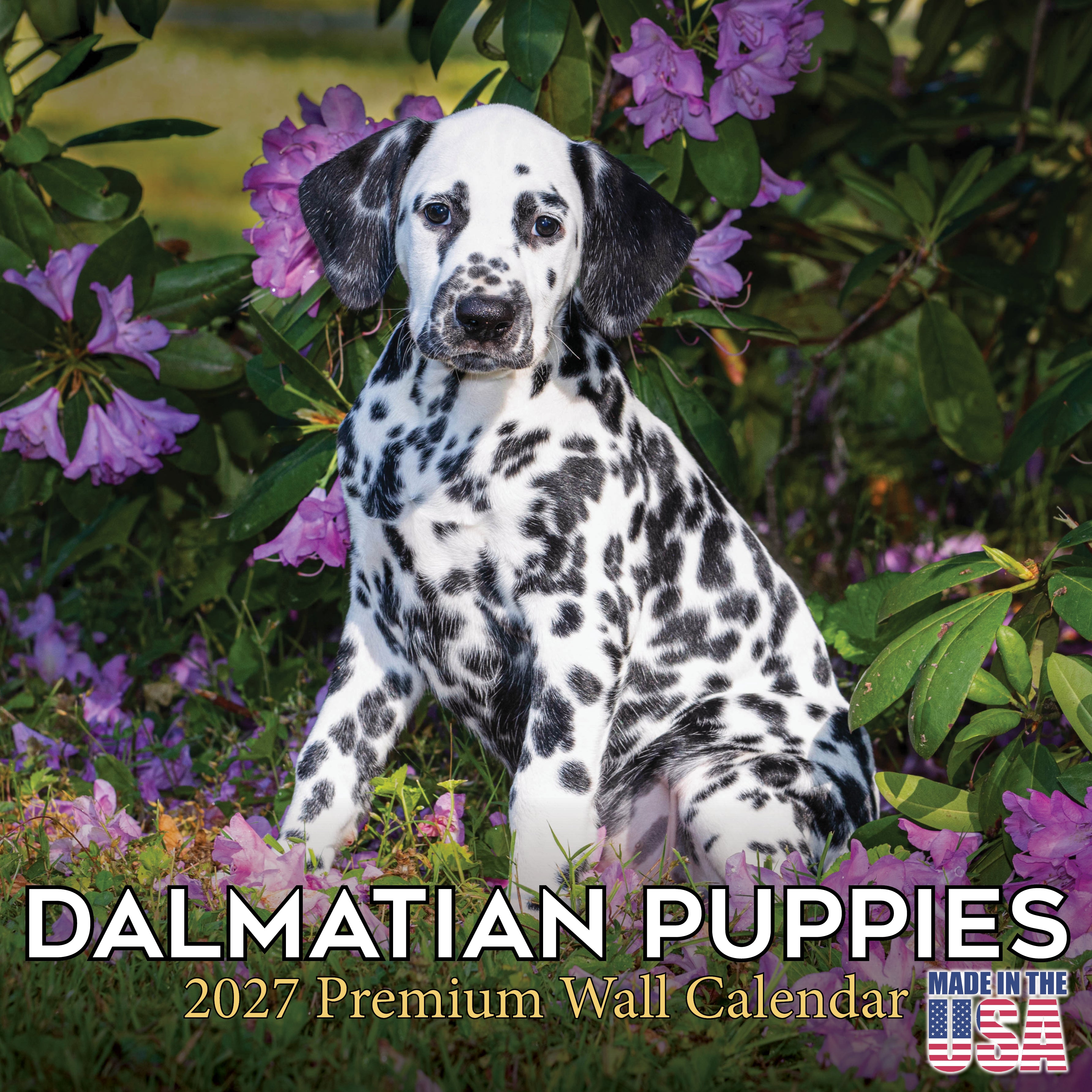 Dalmatian Puppies Wall Calendar 2027 - 12