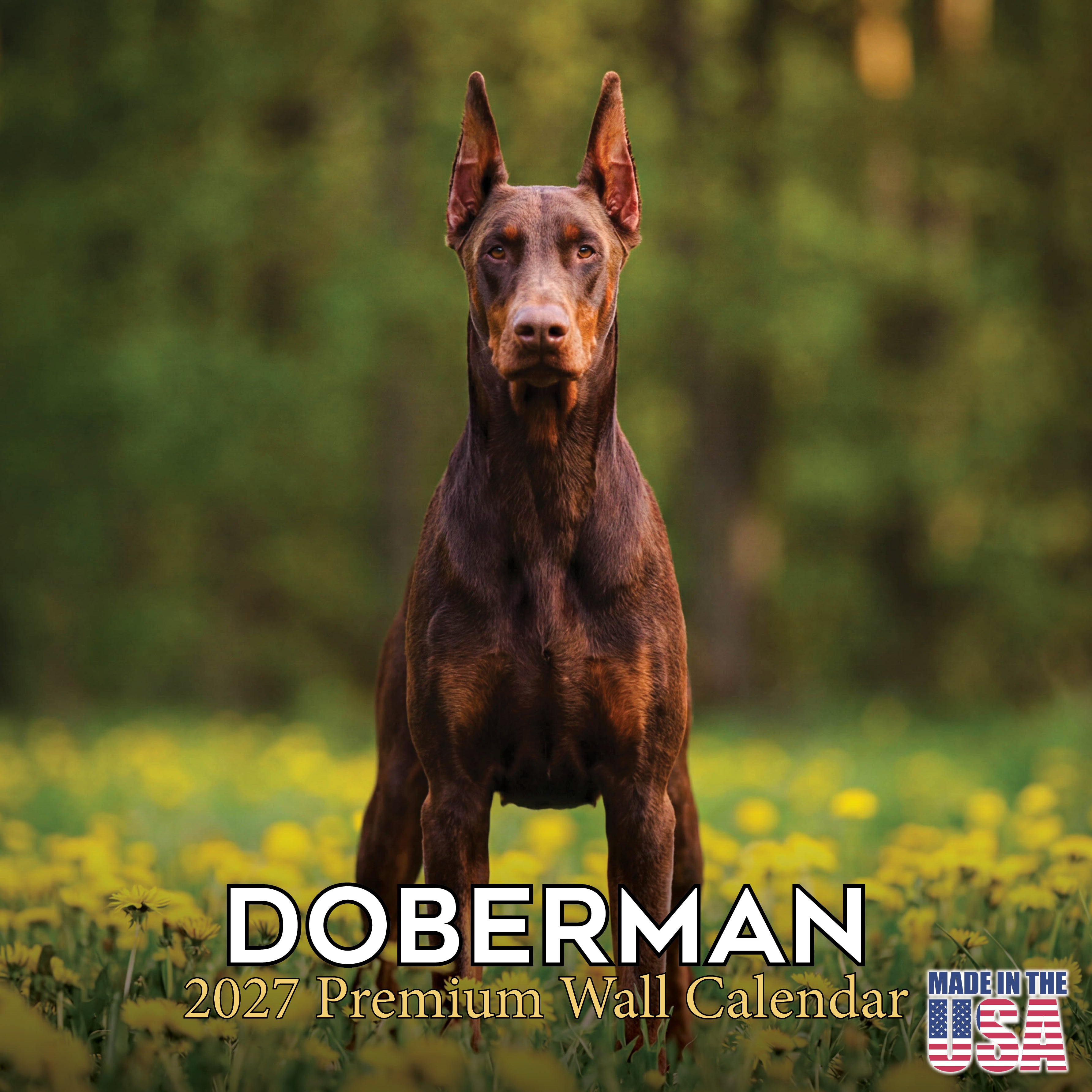 Doberman (US) Wall Calendar 2027 - 12