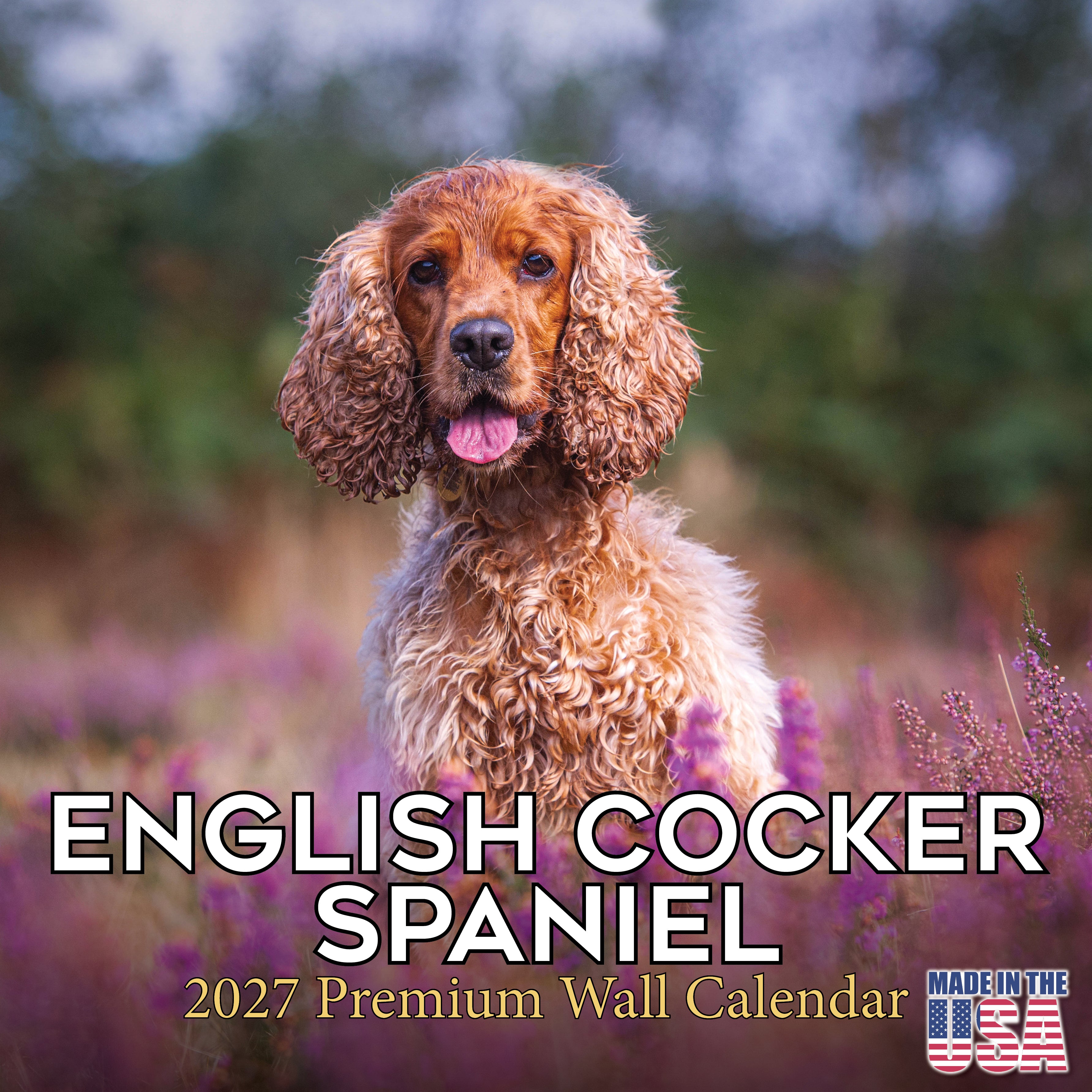 English Cocker Spaniel Wall Calendar 2027 - 12