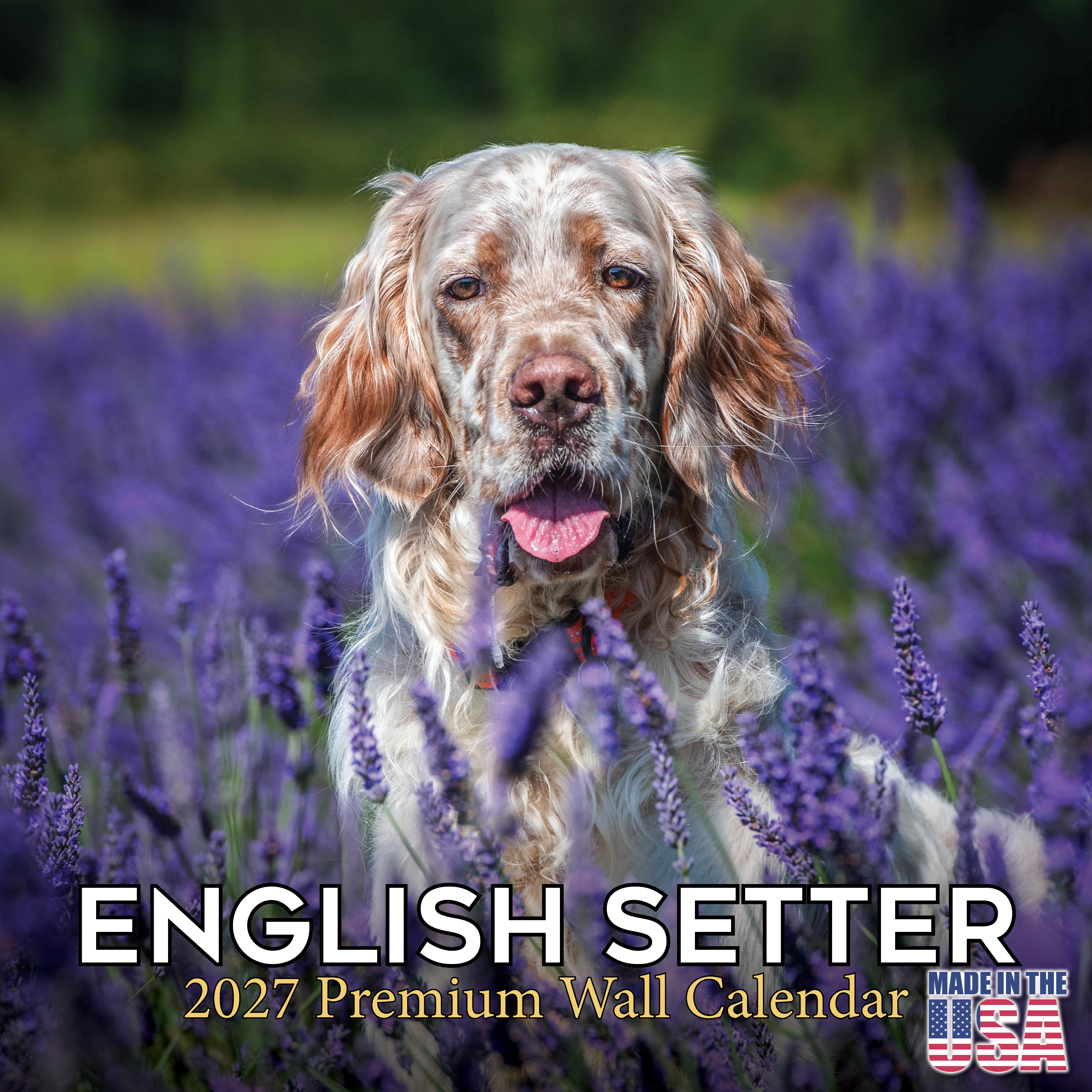 English Setter Wall Calendar 2027 - 12