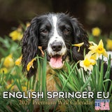 English Springer Spaniel (Euro) Wall Calendar 2027 - 12" x 12" Monthly Athletic European Springer Spaniel Field Dog Calendar