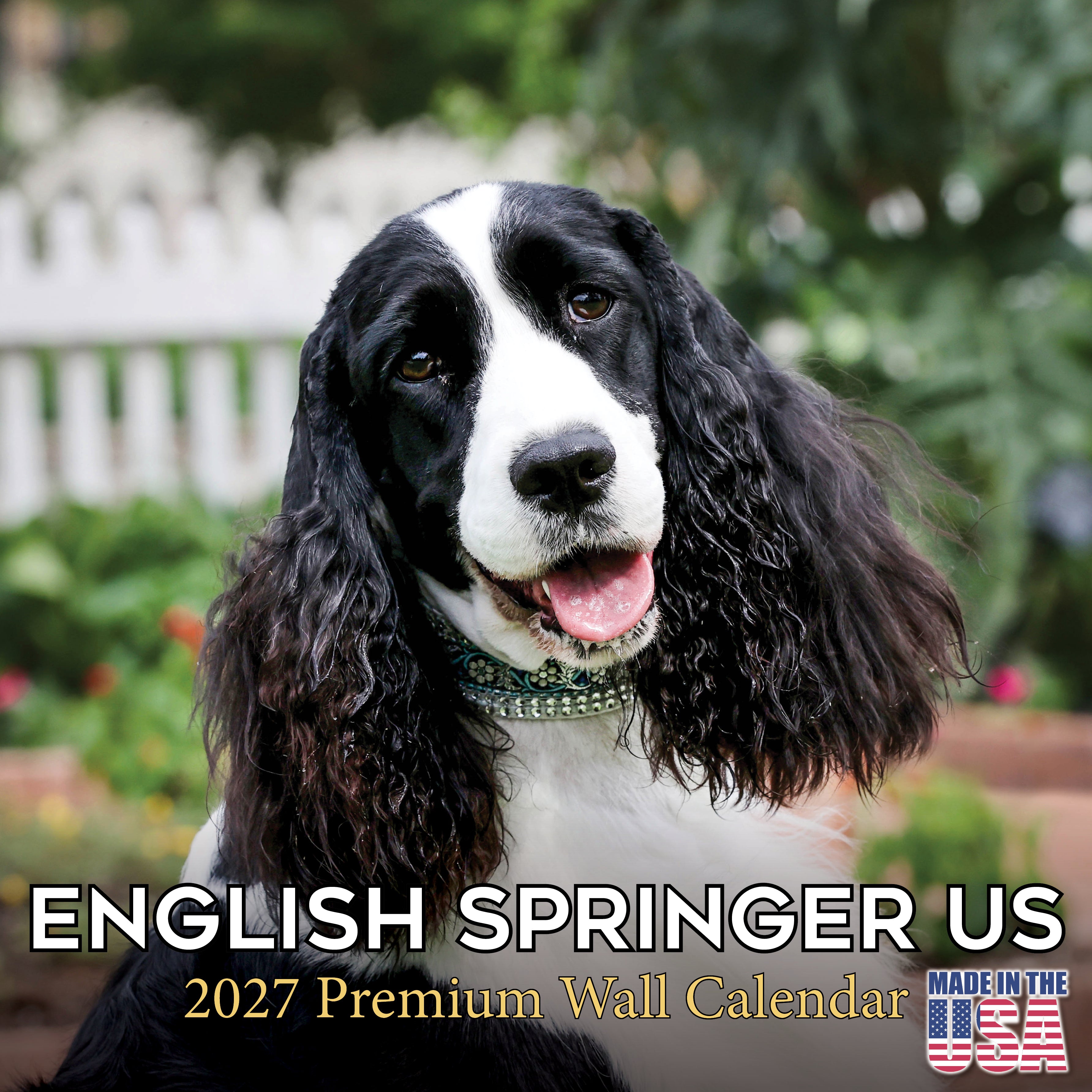 English Springer Spaniel (US) Wall Calendar 2027 - 12