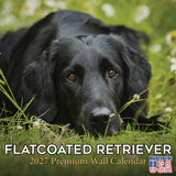 Flatcoated Retriever Wall Calendar 2027 - 12" x 12" Monthly Sleek Black Flattie Sporting Gundog Breed Calendar