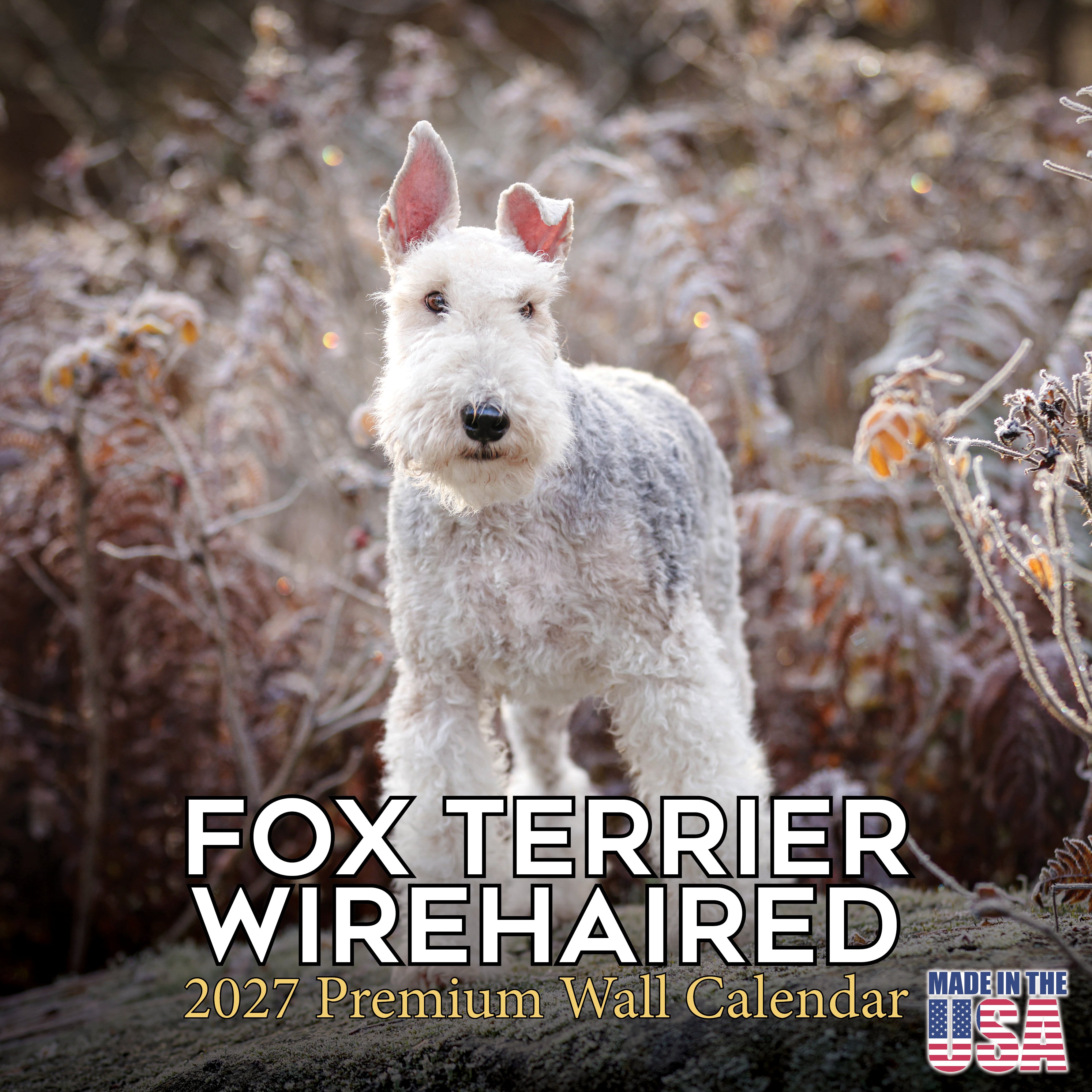 Fox Terrier (Wirehaired) Wall Calendar 2027 - 12