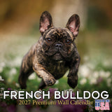 French Bulldog Wall Calendar 2027 - 12" x 12" Monthly Affectionate Frenchie & Bat-Eared Companion Dog Calendar