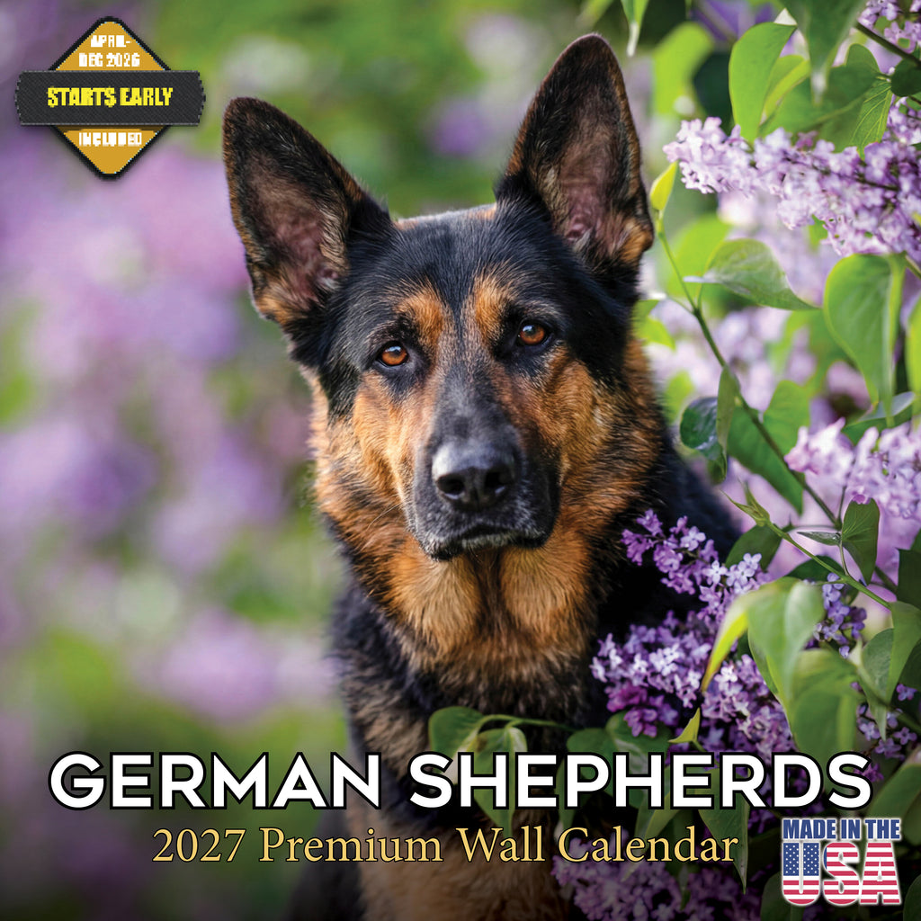 German Shepherd Wall Calendar 2027 - 12" x 12" Monthly Noble Guardian & Intelligent GSD Working Breed Calendar
