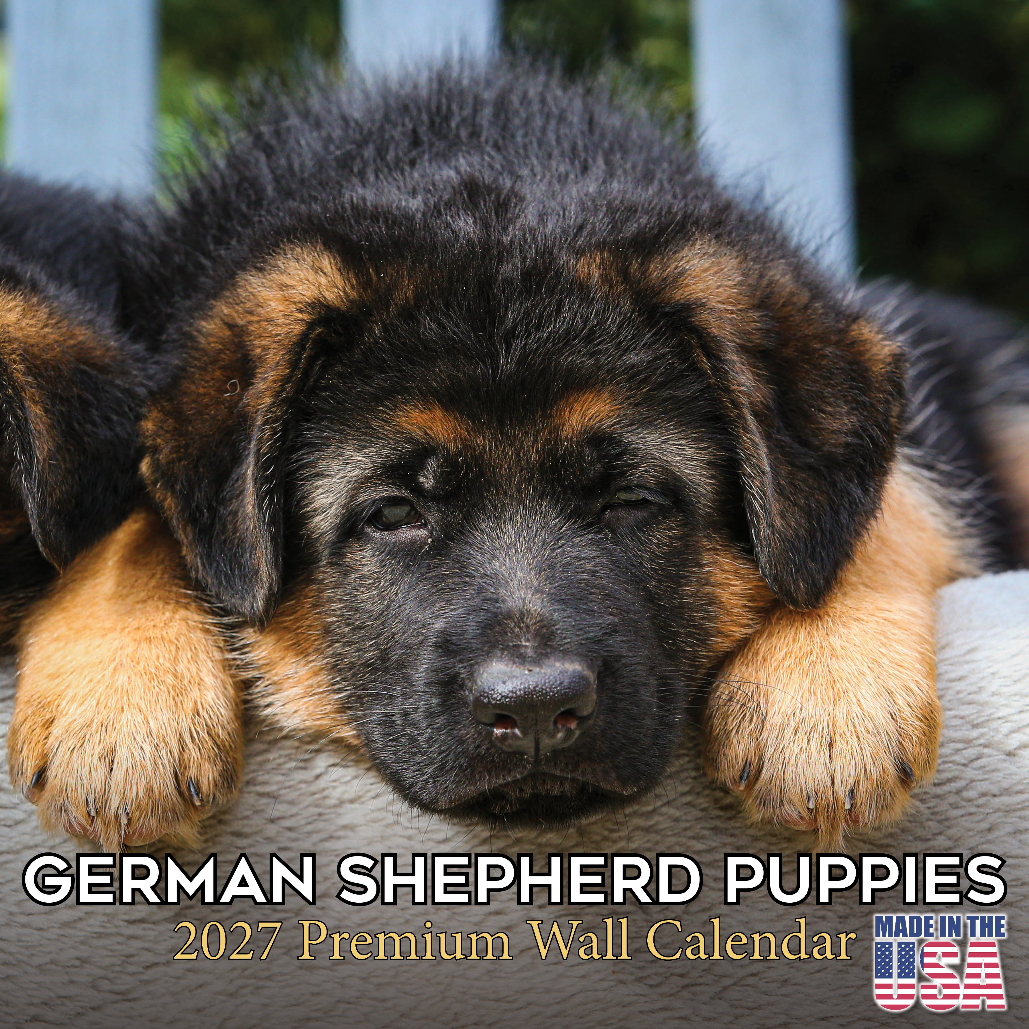 German Shepherd Puppies Wall Calendar 2027 - 12