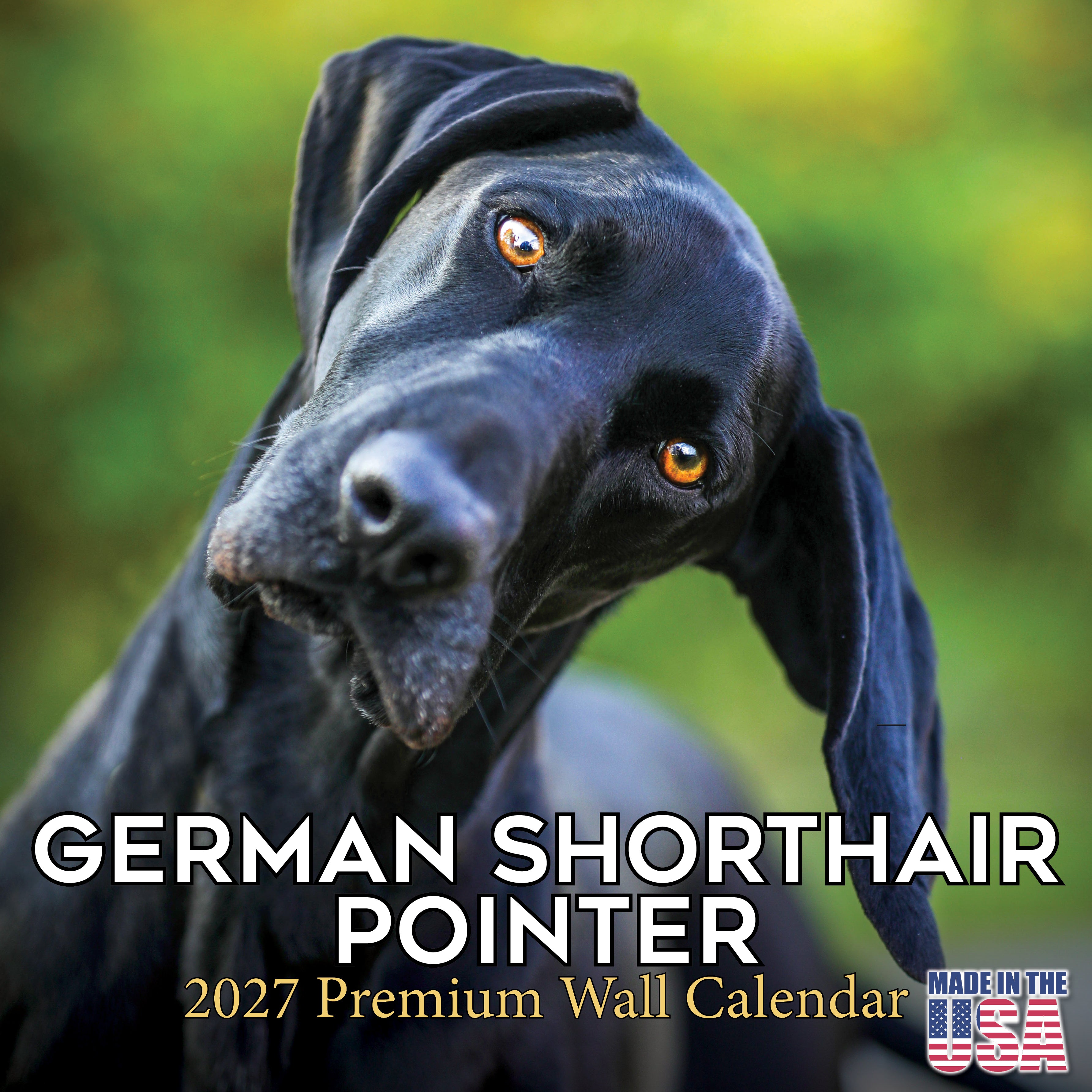 German Shorthaired Pointer Wall Calendar 2027 - 12