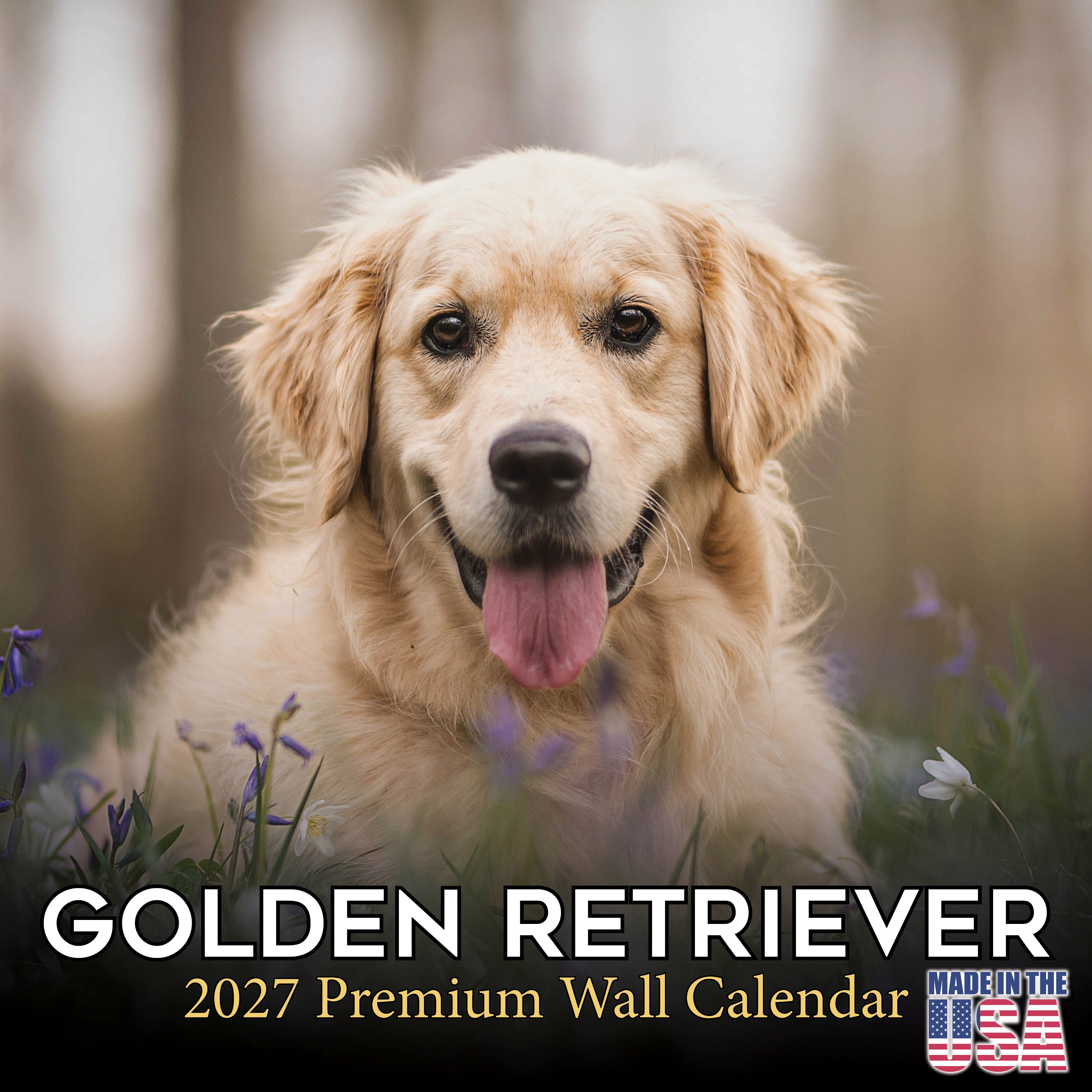 Golden Retriever Wall Calendar 2027 - 12