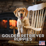 Golden Retriever Puppies Wall Calendar 2027 - 12" x 12" Monthly Adorable Golden Retriever Puppy Companion Calendar