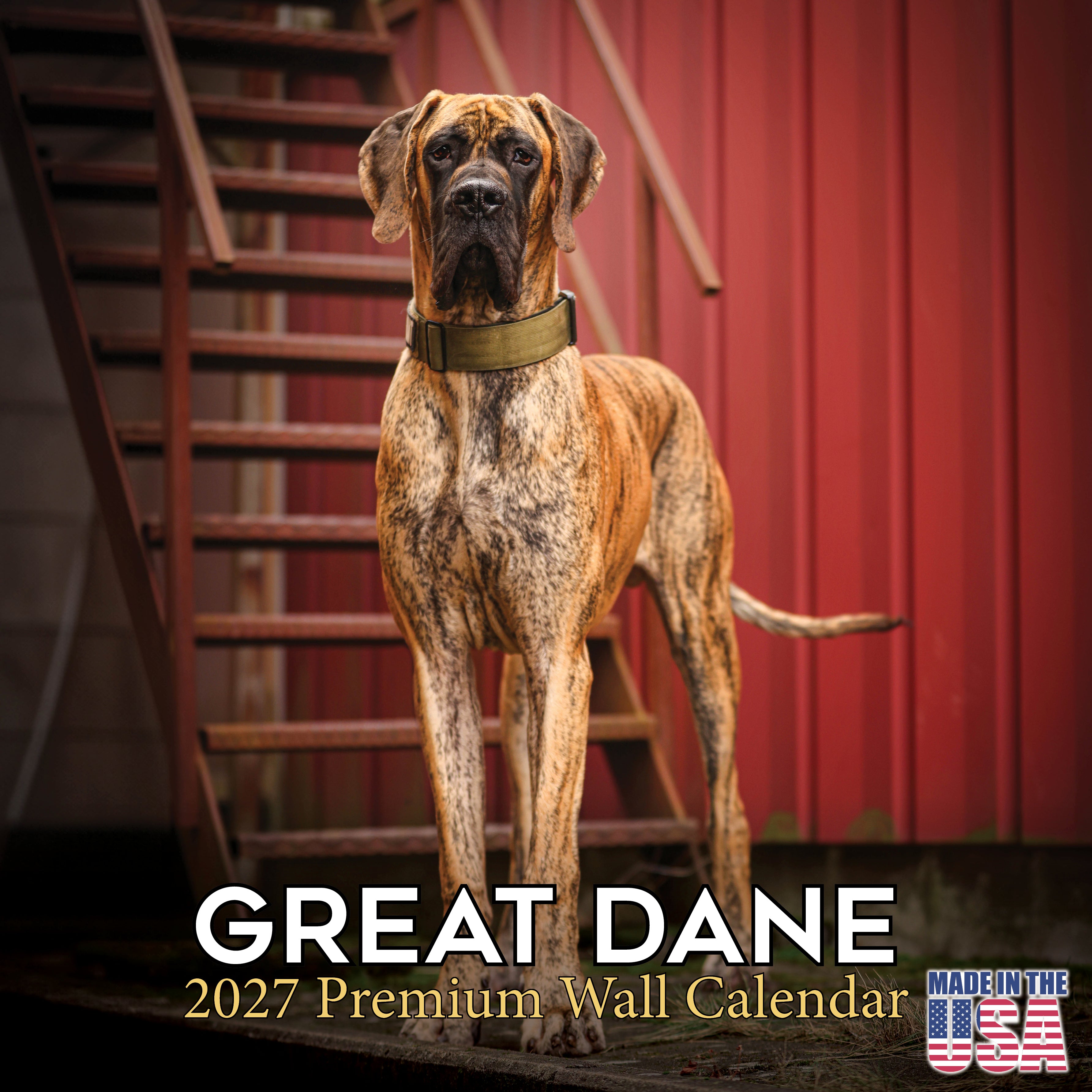 Great Dane Wall Calendar 2027 - 12