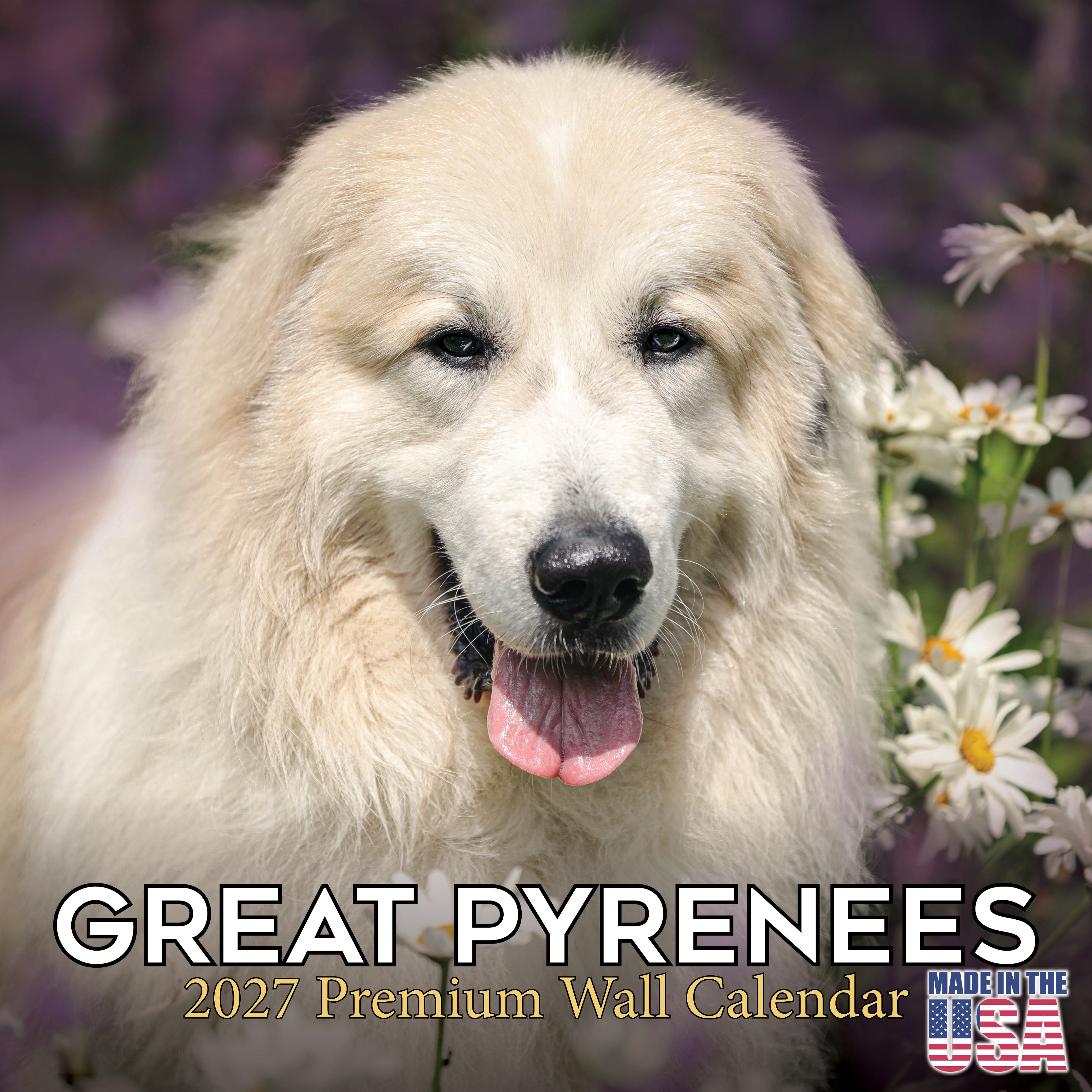Great Pyrenees Wall Calendar 2027 - 12