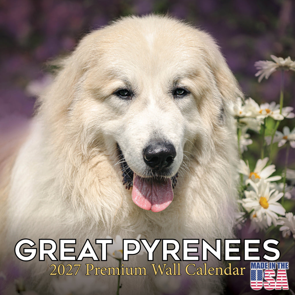 Great Pyrenees Wall Calendar 2027 - 12" x 12" Monthly Noble Pure-White Livestock Guardian Mountain Dog Calendar