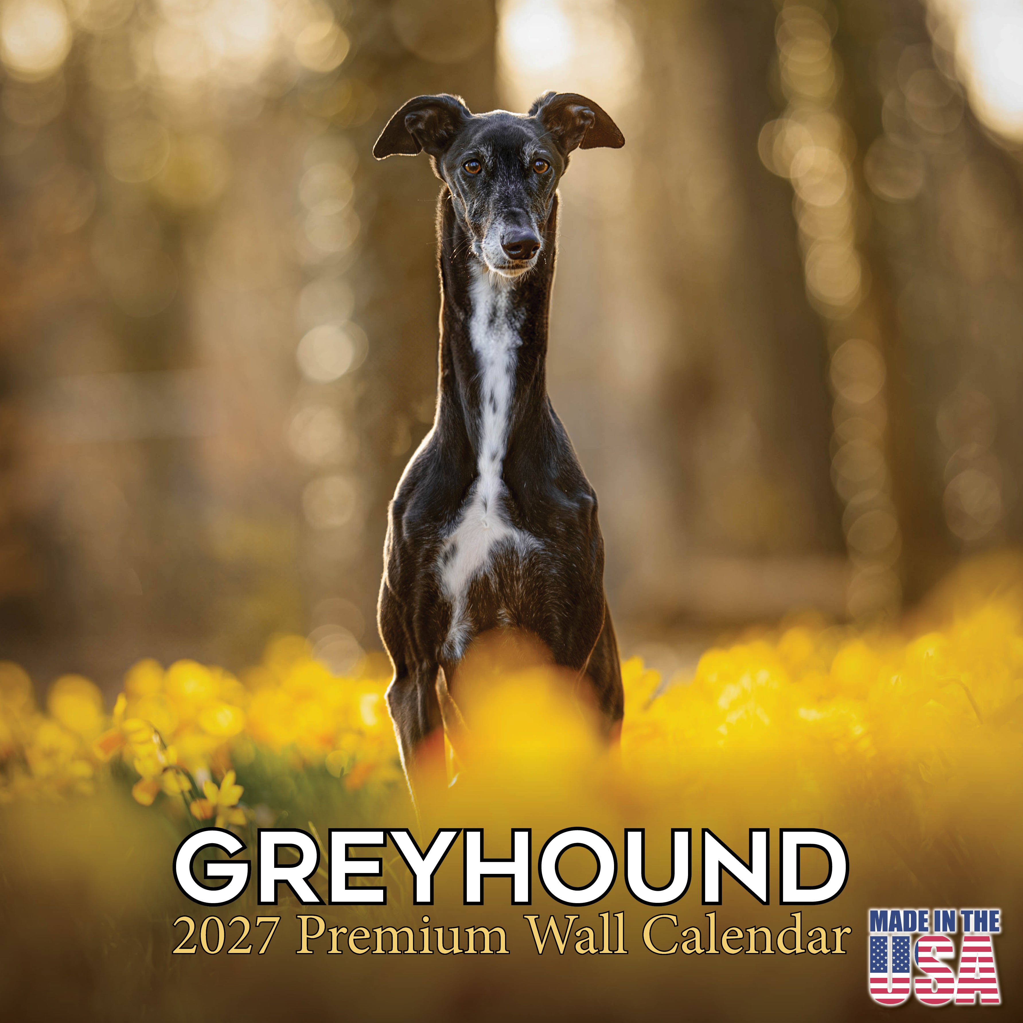 Greyhound Wall Calendar 2027 - 12