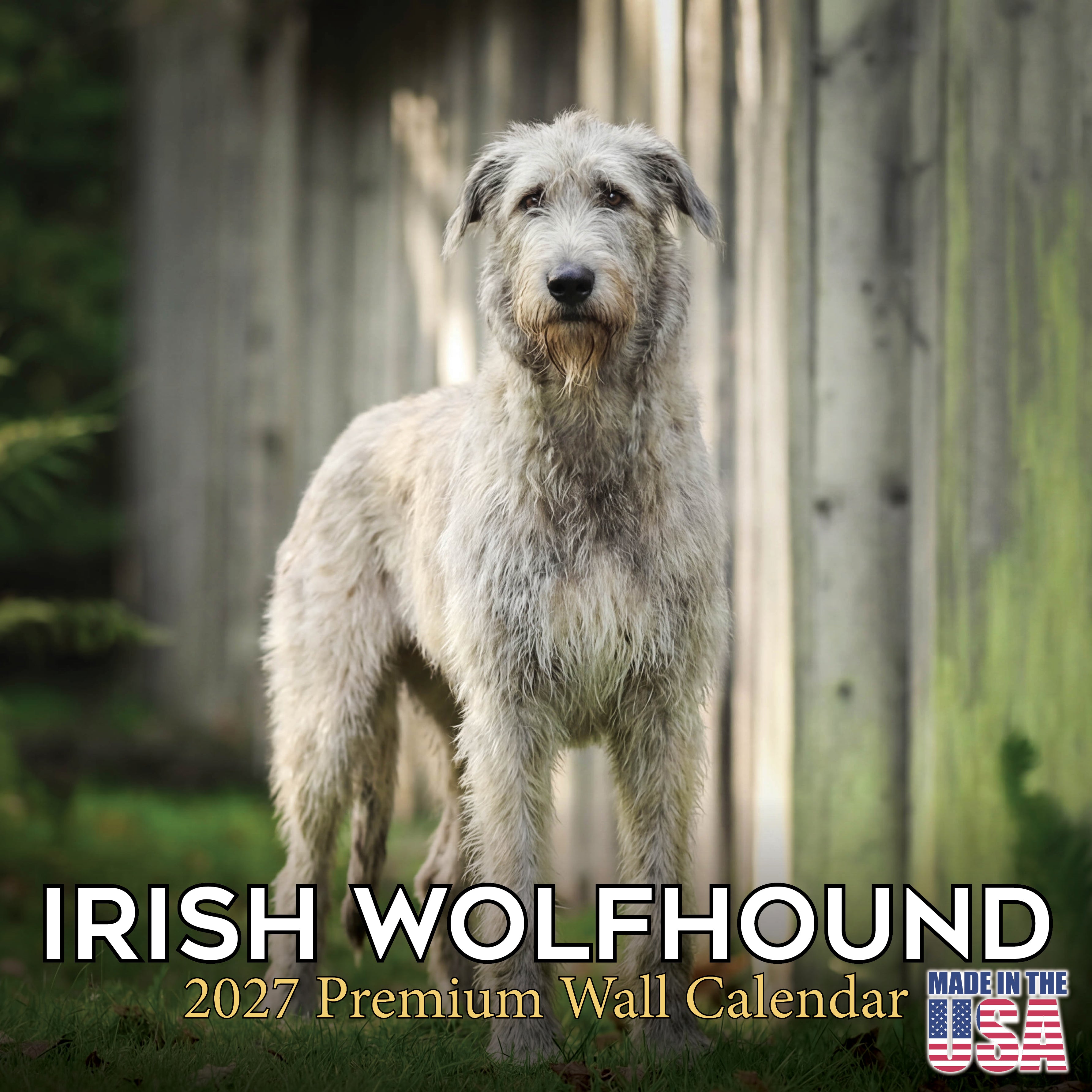 Irish Wolfhound Wall Calendar 2027 - 12