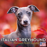 Italian Greyhound Wall Calendar 2027 - 12" x 12" Monthly Sleek Miniature & Graceful Sighthound Toy Calendar