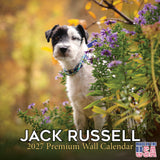 Jack Russell Wall Calendar 2027 - 12" x 12" Monthly Feisty & Spirited Working Terrier Breed Calendar