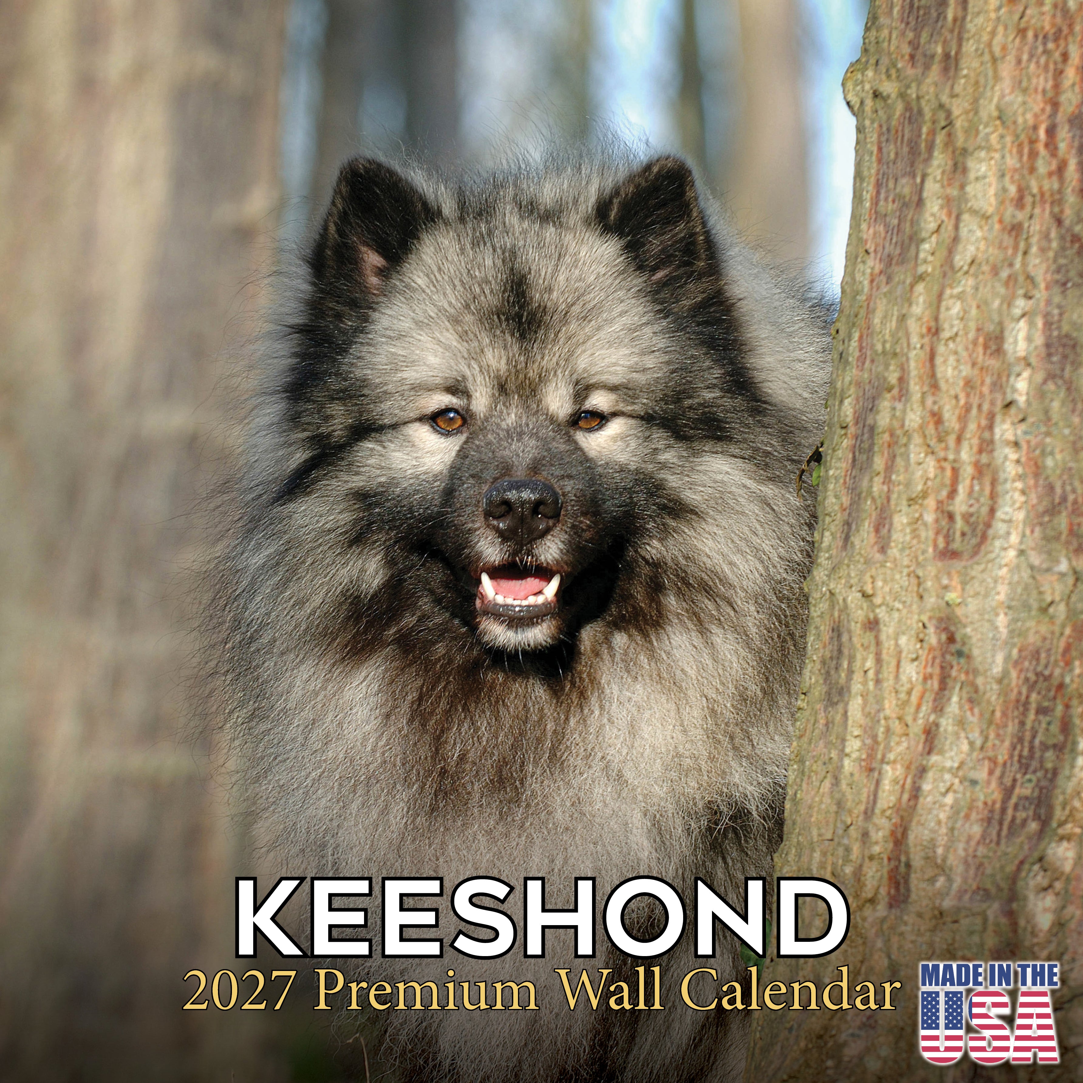 Keeshond Wall Calendar 2027 - 12