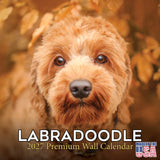 Labradoodle Wall Calendar 2027 - 12" x 12" Monthly Shaggy Teddy-Bear & Sweet Designer Cocker Poodle Hybrid Calendar