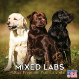 Labrador Retriever Mixed Wall Calendar 2027 - 12" x 12" Monthly Loyal Lab Crossbreeds & Mixed Heritage Mutts Calendar