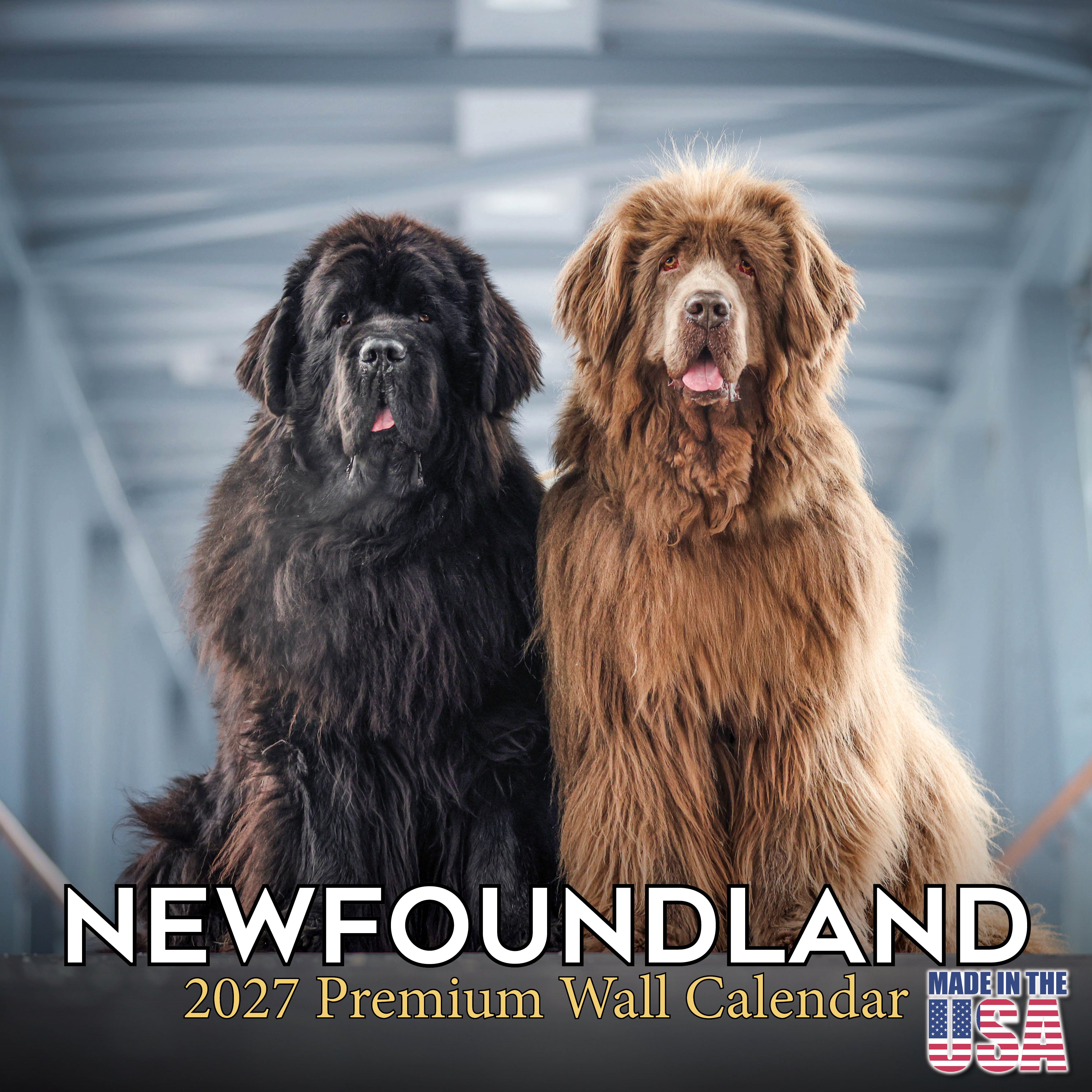 Newfoundland Wall Calendar 2027 - 12