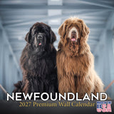 Newfoundland Wall Calendar 2027 - 12" x 12" Monthly Loyal Life-Saving & Plush Newfie Giant Calendar