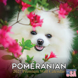 Pomeranian Wall Calendar 2027 - 12" x 12" Monthly Spirited & Fluffy Pom Pom Toy Dog Breed Calendar