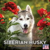 Siberian Husky Wall Calendar 2027 - 12" x 12" Monthly Athletic & Adventurous Husky Dog Breed Calendar
