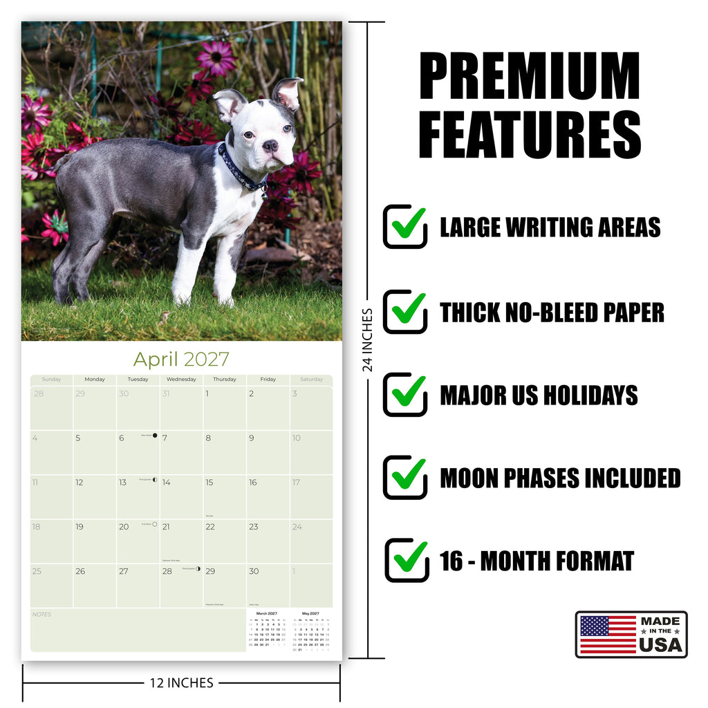 Boston Terrier Wall Calendar 2027 - 12" x 12" Monthly Lively Amusing American Gentleman Calendar