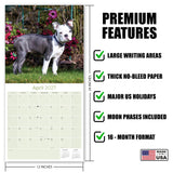Boston Terrier Wall Calendar 2027 - 12" x 12" Monthly Lively Amusing American Gentleman Calendar