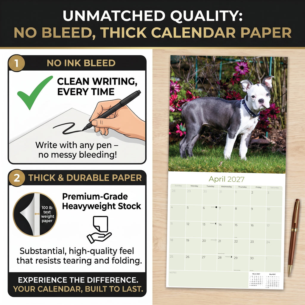 Boston Terrier Wall Calendar 2027 - 12" x 12" Monthly Lively Amusing American Gentleman Calendar