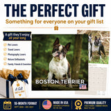 Boston Terrier Wall Calendar 2027 - 12" x 12" Monthly Lively Amusing American Gentleman Calendar