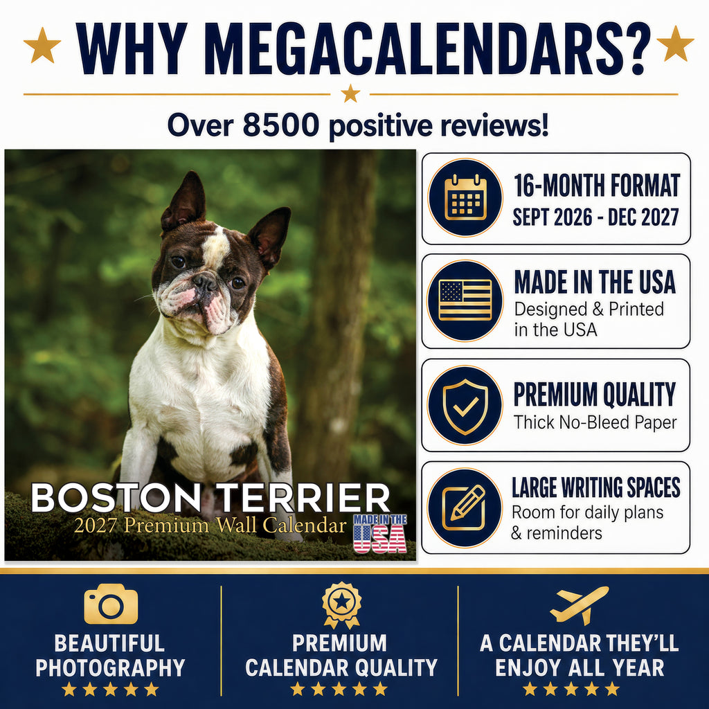 Boston Terrier Wall Calendar 2027 - 12" x 12" Monthly Lively Amusing American Gentleman Calendar