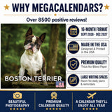 Boston Terrier Wall Calendar 2027 - 12" x 12" Monthly Lively Amusing American Gentleman Calendar