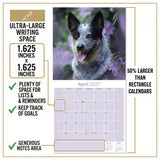 Blue Heeler Wall Calendar 2027 - 12" x 12" Monthly Quick Loyal Australian Herding Dog Breed Calendar