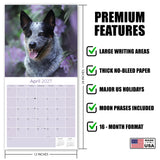 Blue Heeler Wall Calendar 2027 - 12" x 12" Monthly Quick Loyal Australian Herding Dog Breed Calendar