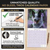 Blue Heeler Wall Calendar 2027 - 12" x 12" Monthly Quick Loyal Australian Herding Dog Breed Calendar