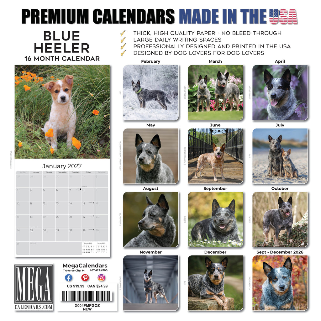 Blue Heeler Wall Calendar 2027 - 12" x 12" Monthly Quick Loyal Australian Herding Dog Breed Calendar