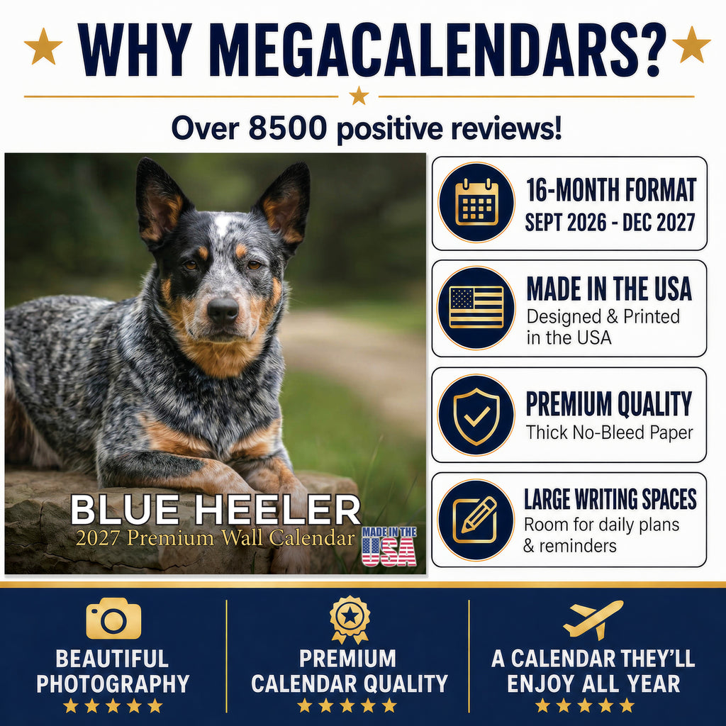 Blue Heeler Wall Calendar 2027 - 12" x 12" Monthly Quick Loyal Australian Herding Dog Breed Calendar